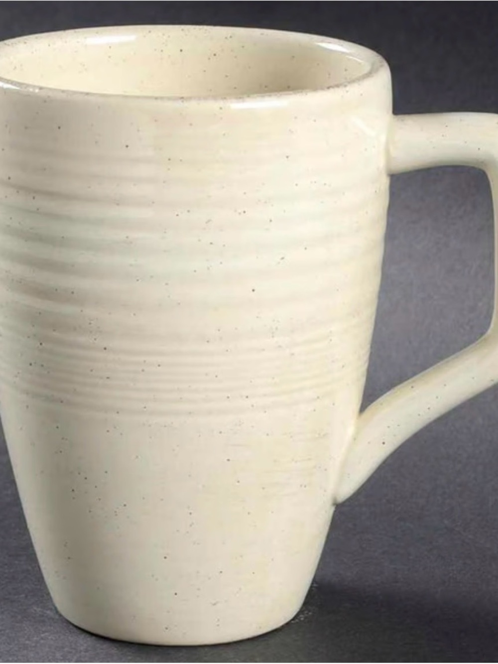 NATE BERKUS Kenya Vanilla Bean Ceramic Mug